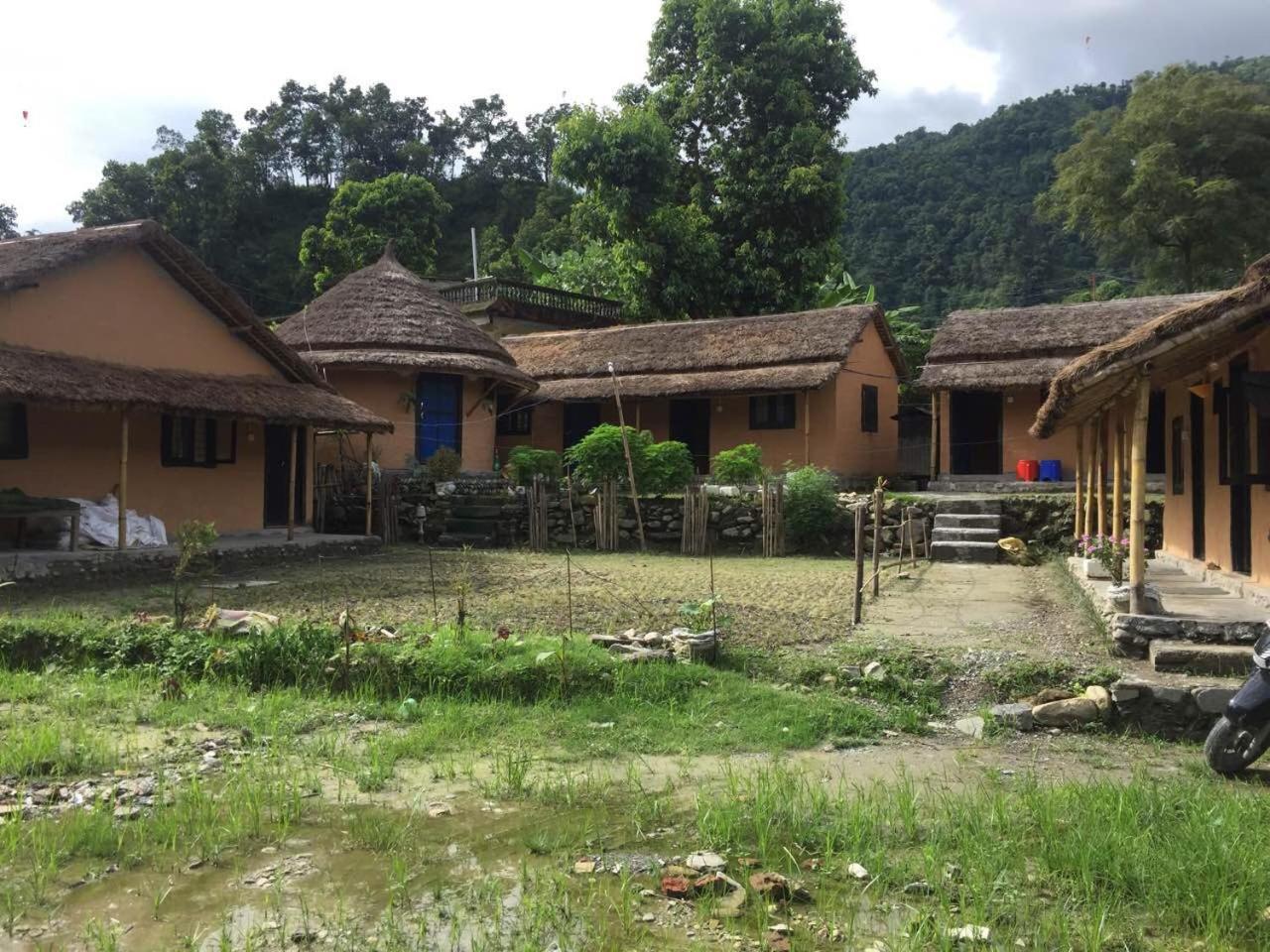 My Beautiful Cottage In Pokhara Extérieur photo
